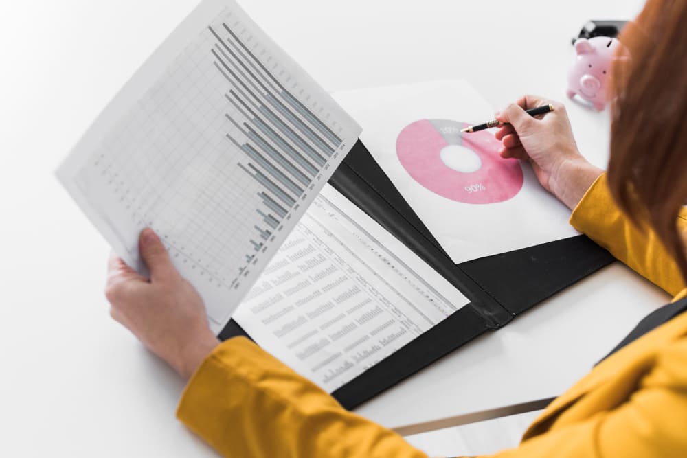 Business data analysis